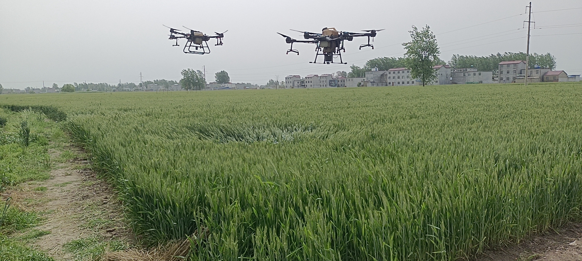 图片2.jpg 图片2.jpg